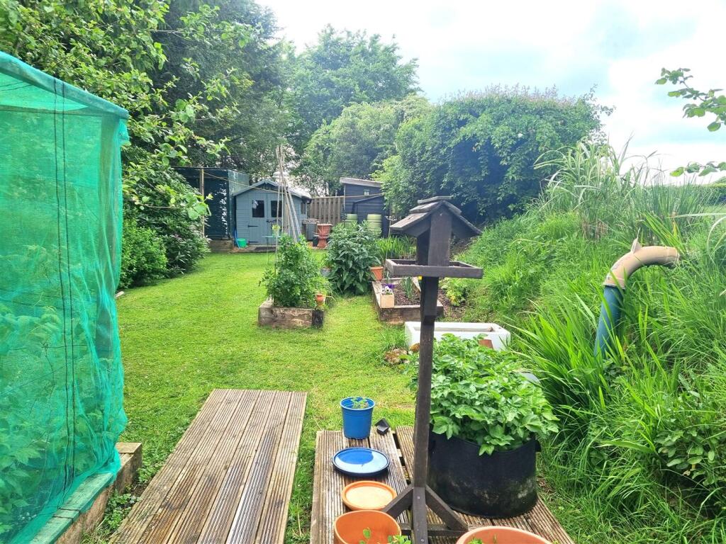 Garden photo.jpg