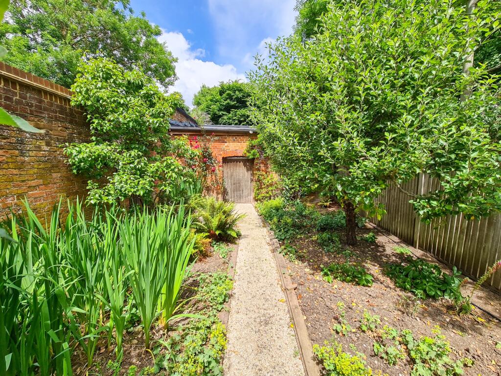 Garden in spring