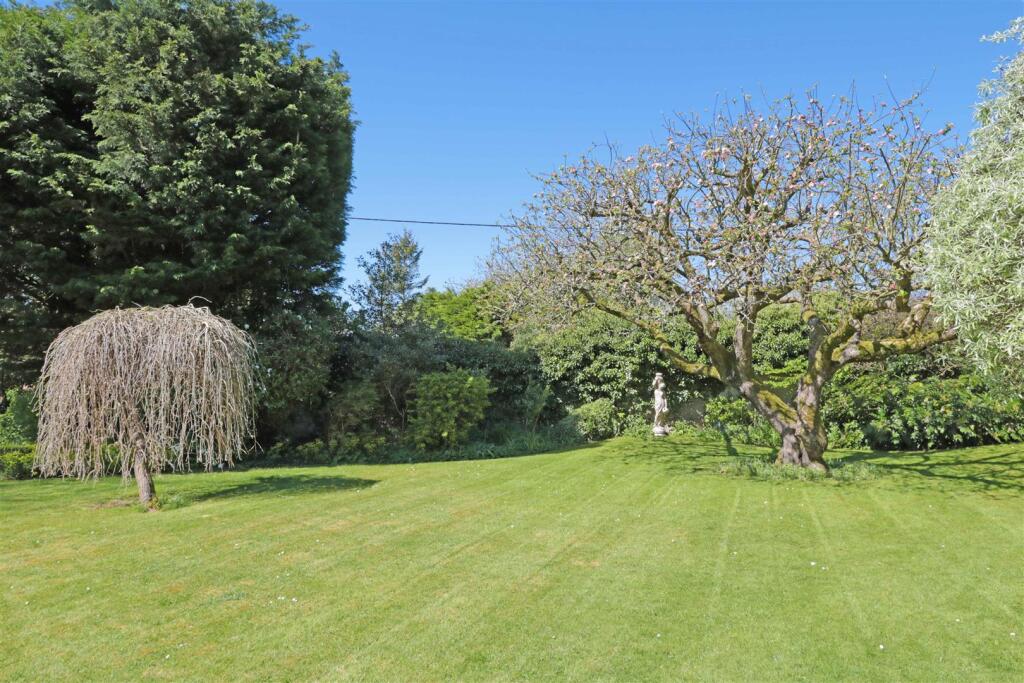 Garden2.jpg