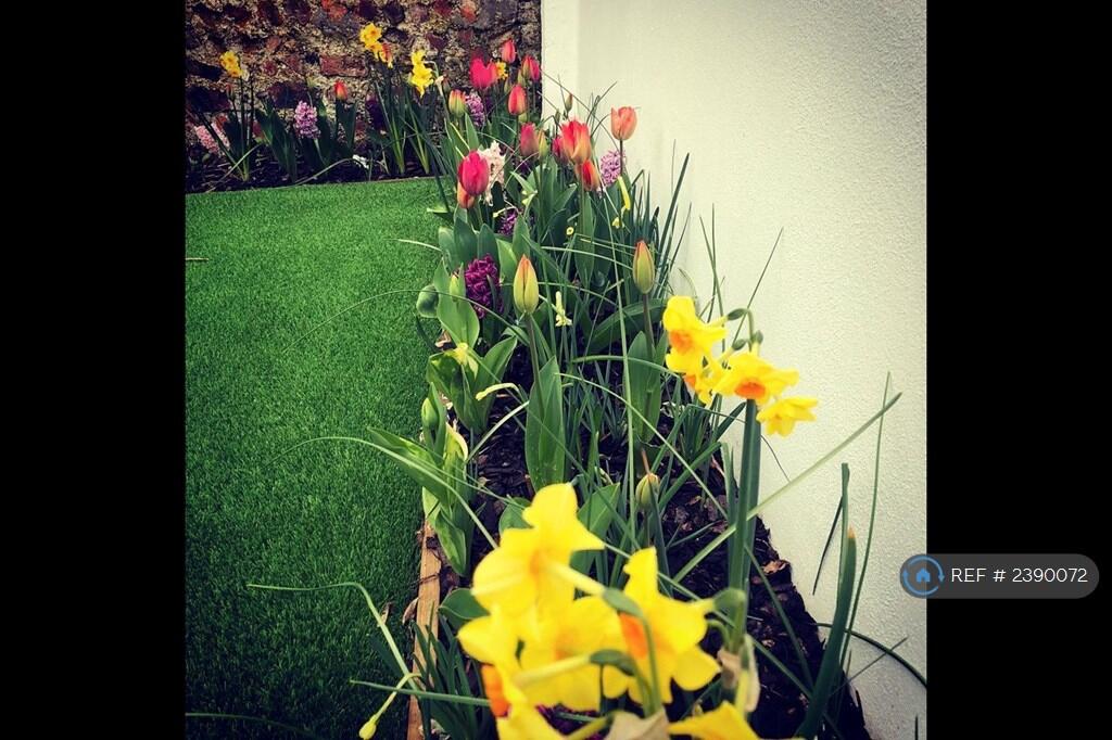 Easy To Maintain Border With Colour Interest