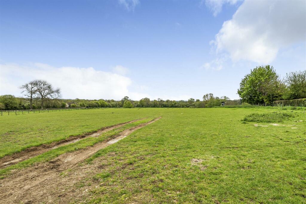 Field