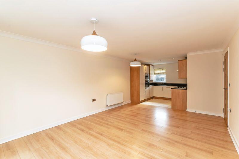Open Plan Living Dining Kitchen