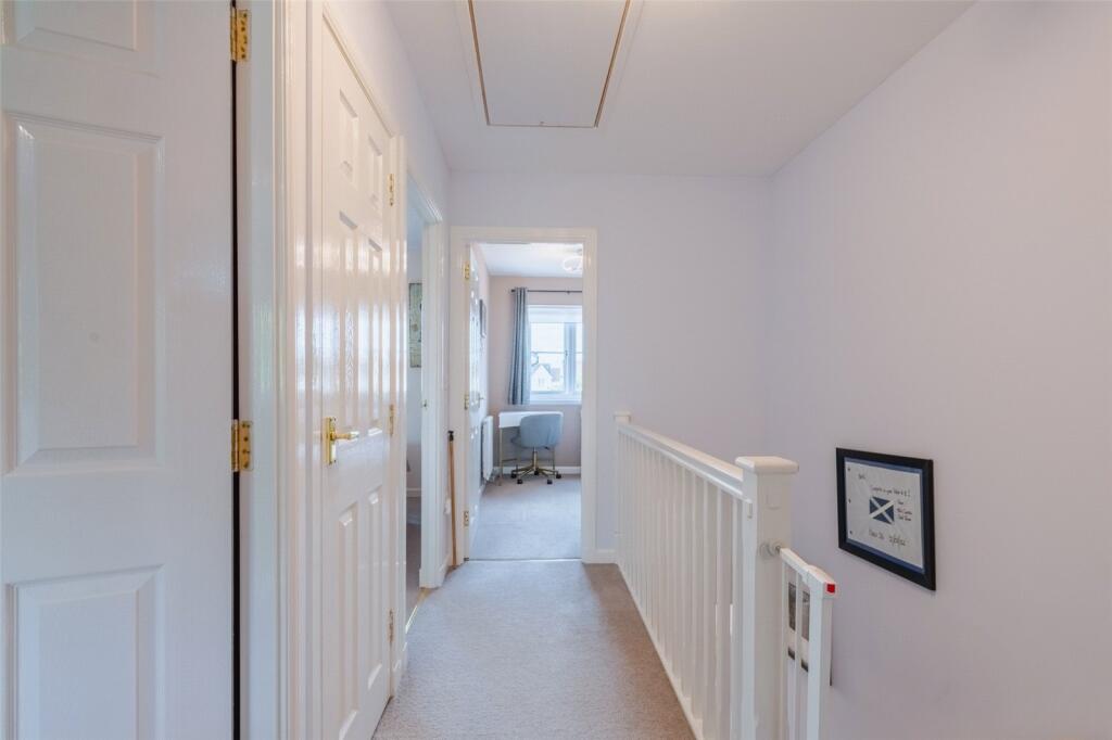 Dolphingstone Ct7204