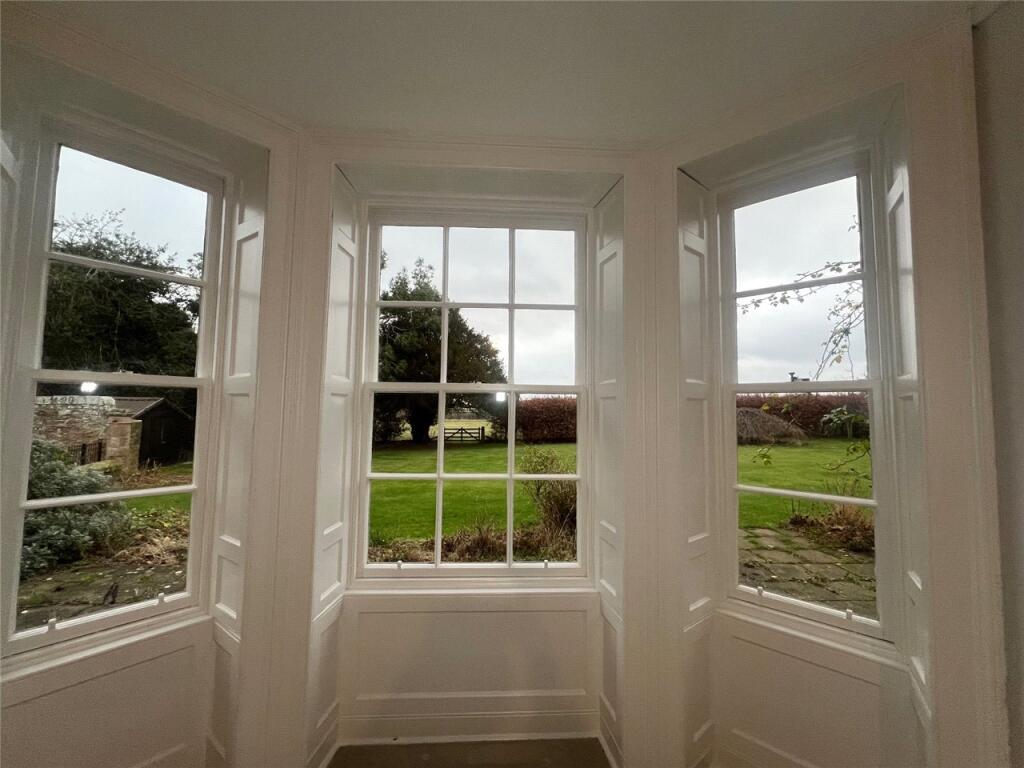 Window