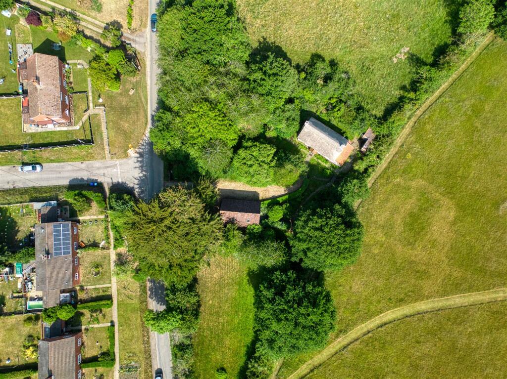 Apple Trees (12).jpg