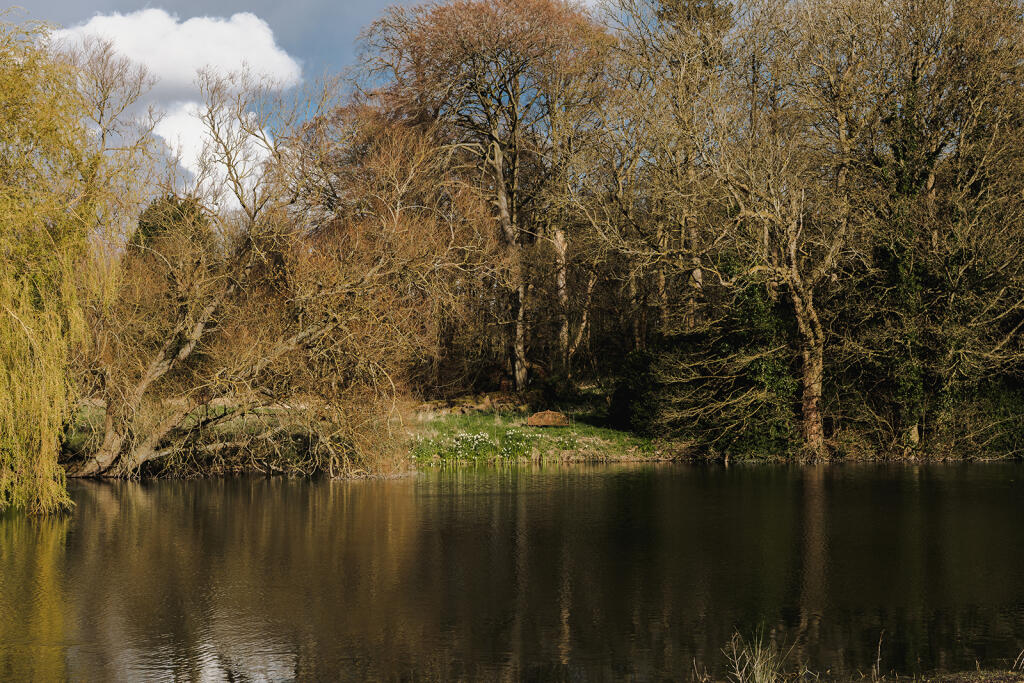 Narborough Hall_05.jpg