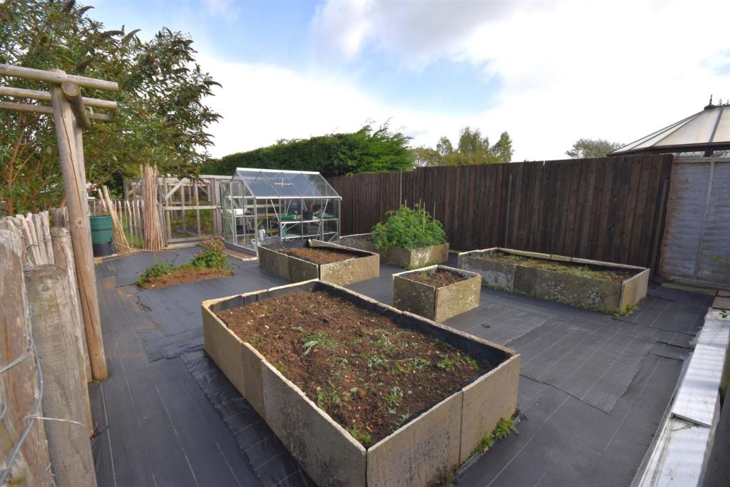 Vegetable patch.JPG