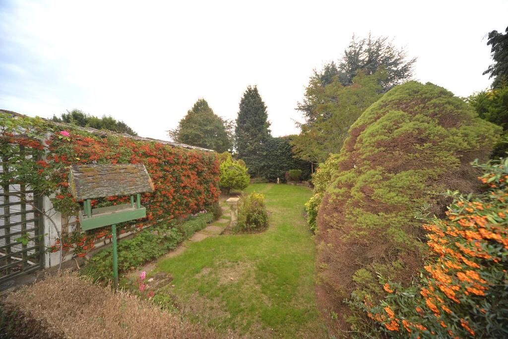 Garden 2.JPG