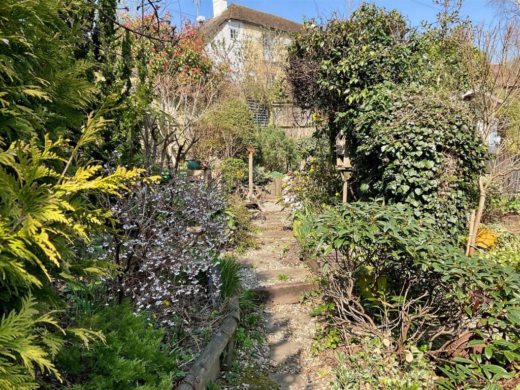 Garden pic12.jpg