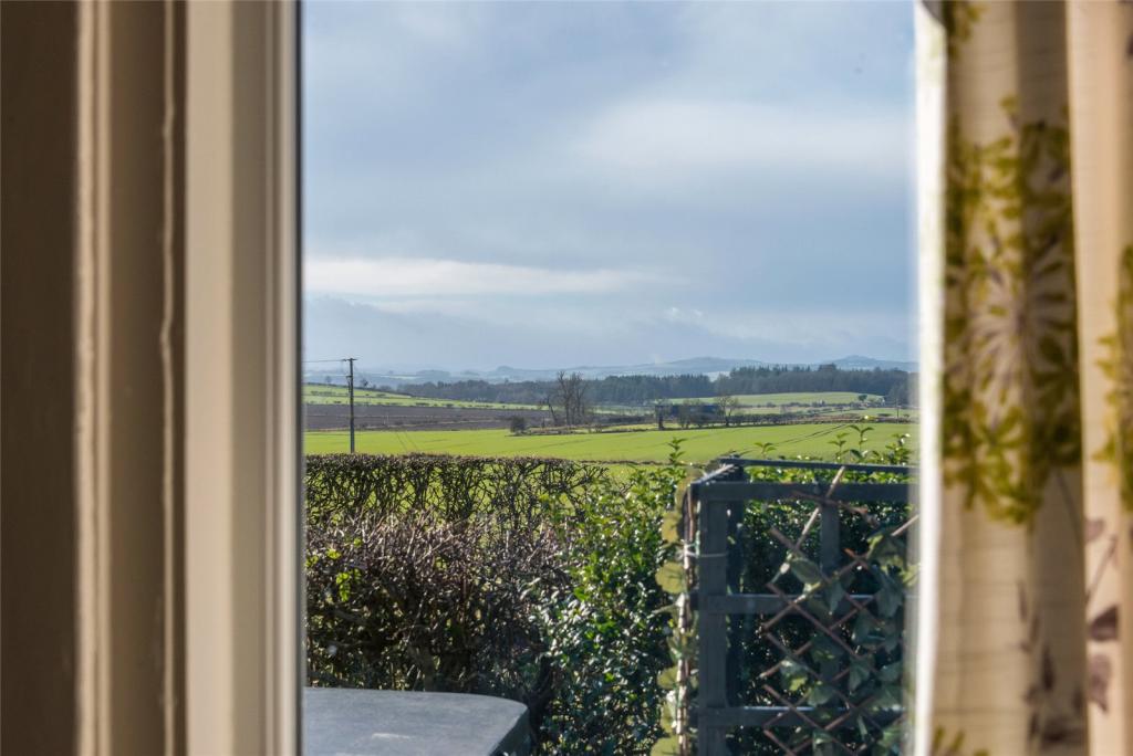 View From Window