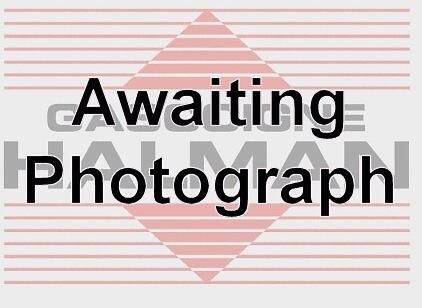 Main Image (Main)