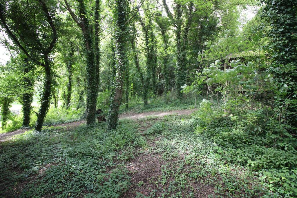 WOODLAND