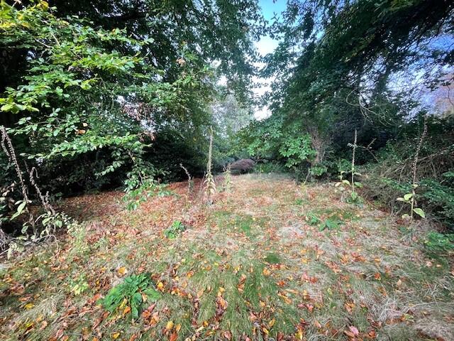 18 T202410251700.jpg