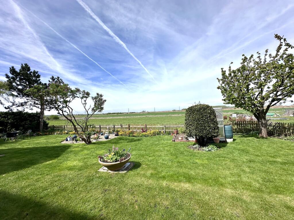 Garden 1