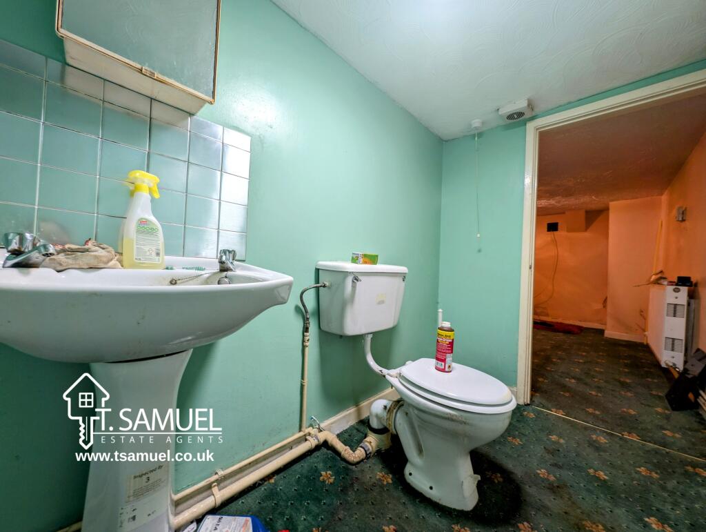 PXL_20241115_095704504~2