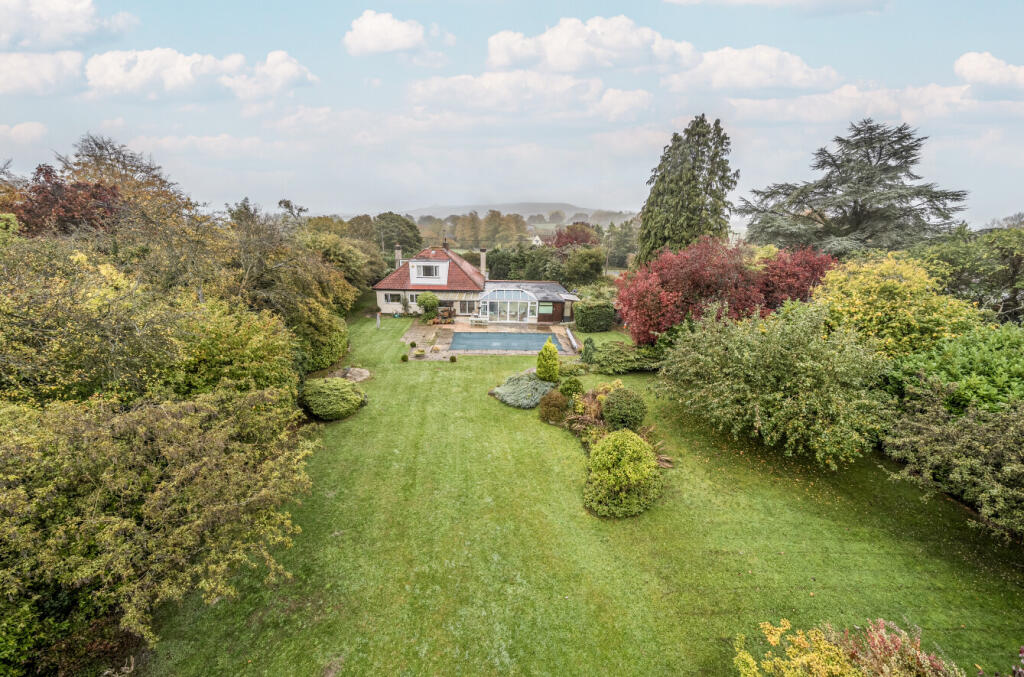 1362648268ed3c52b3d7d