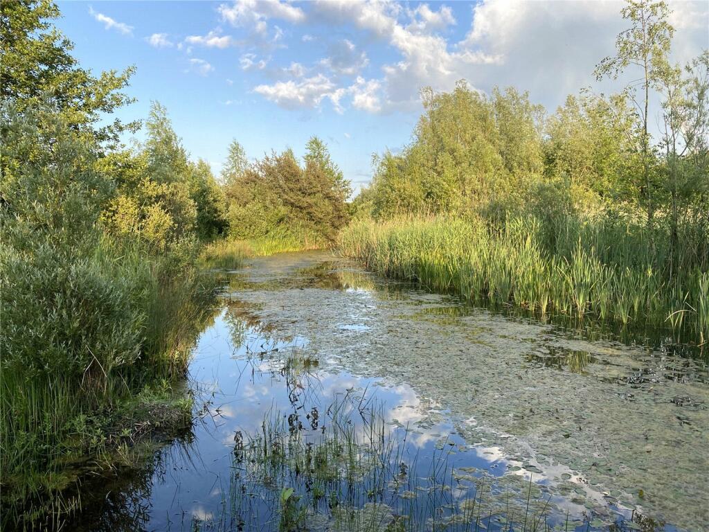 Lake 95