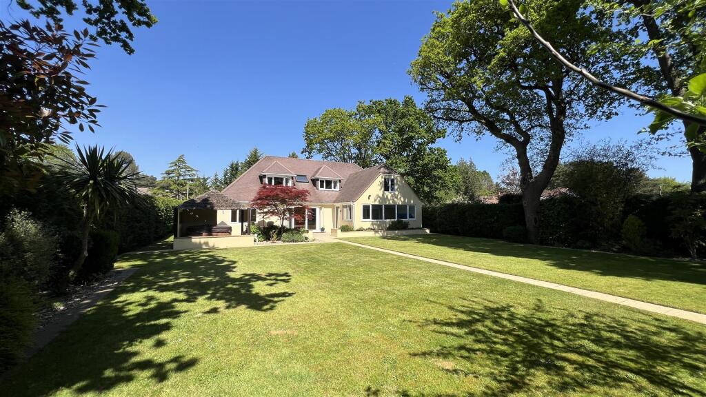 11. Back_IMG_1876.jpeg