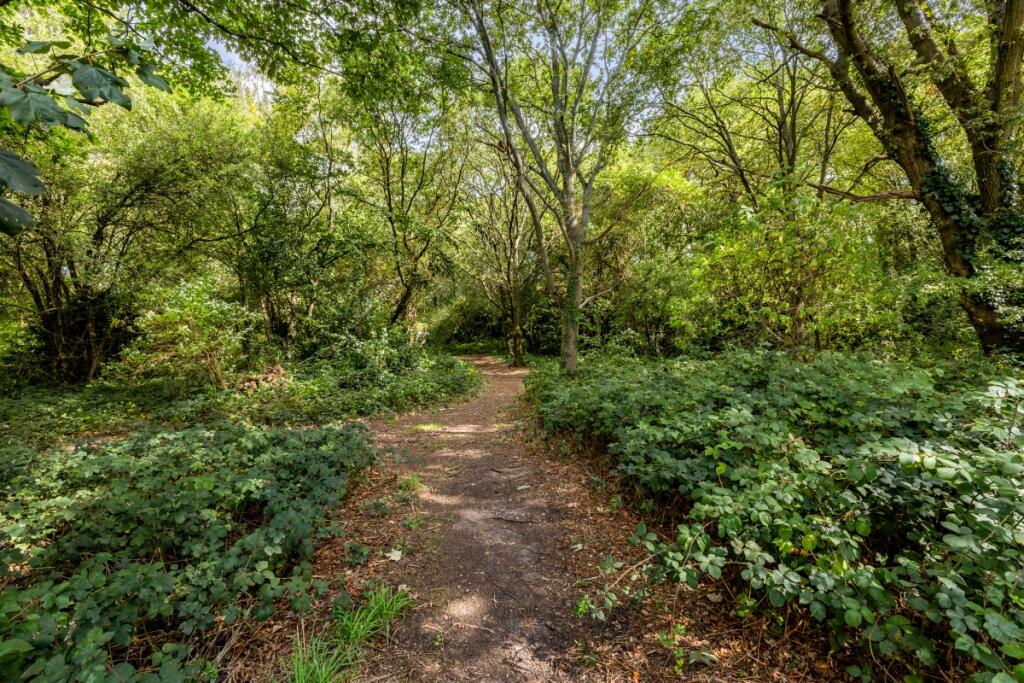 97851_2-Woodbine-...