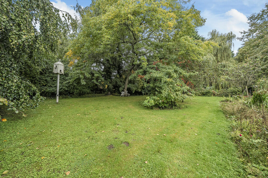 Garden 4