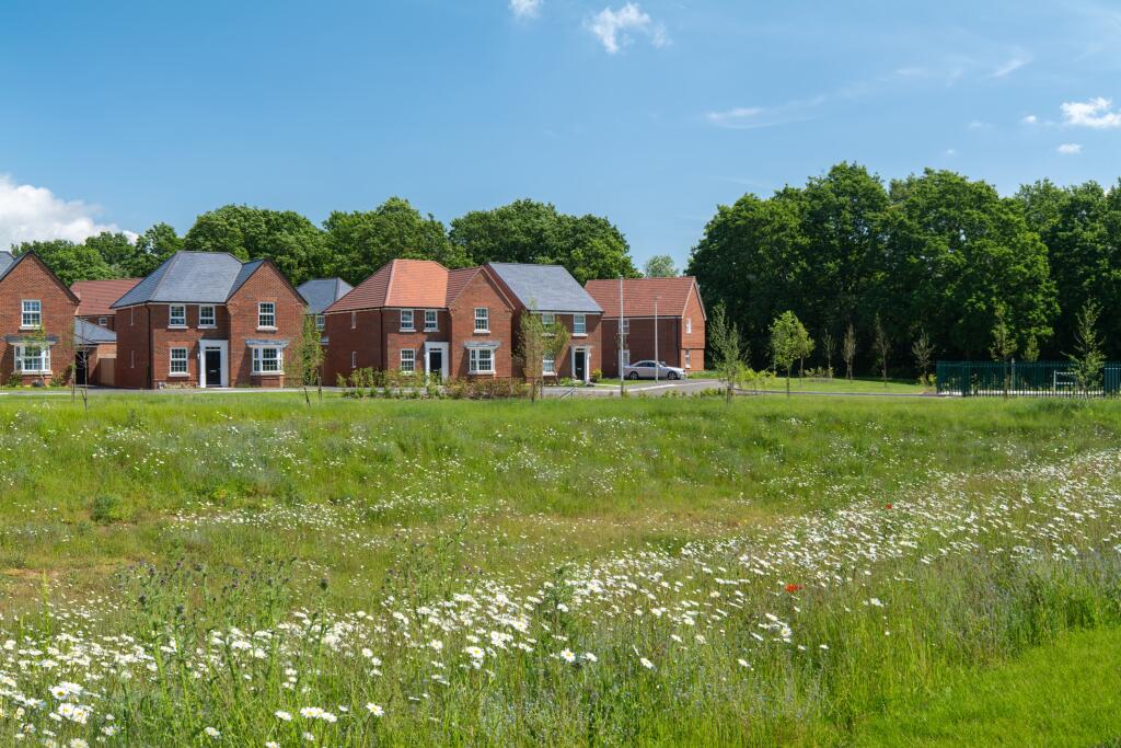 Detached family homes opposite green open space at Ersham Park June 2024