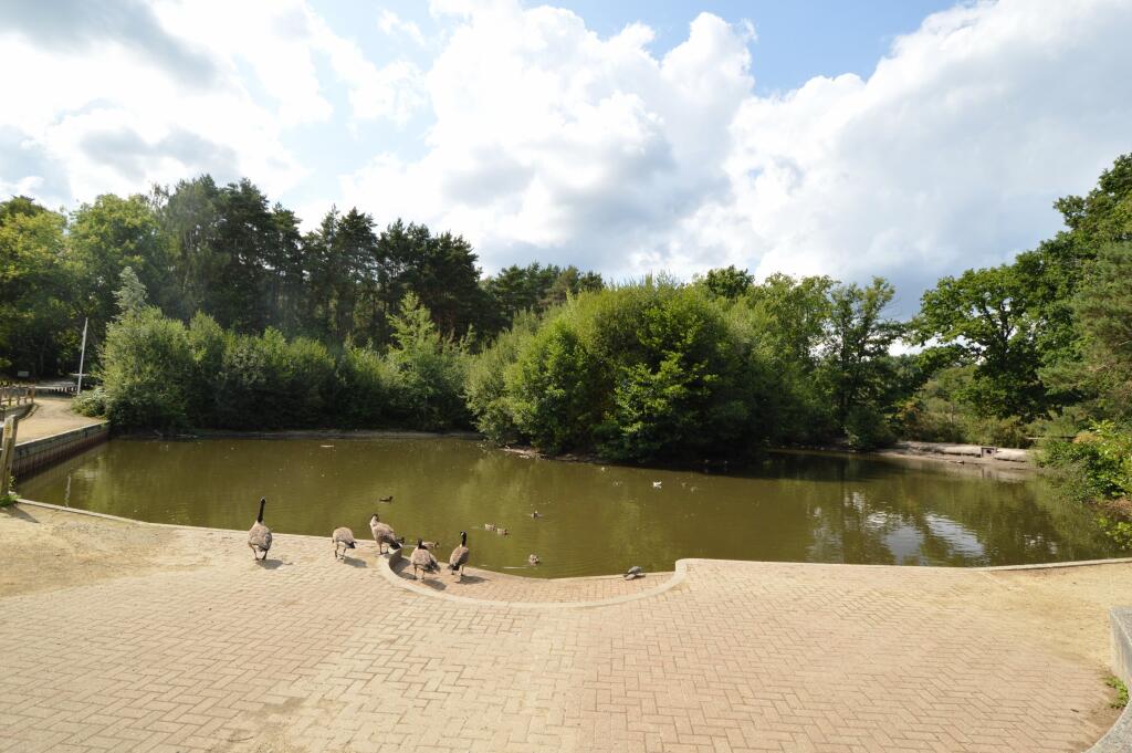Lightwater Country Park