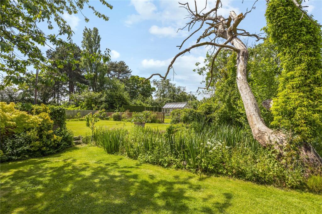 Pond &amp; Garden