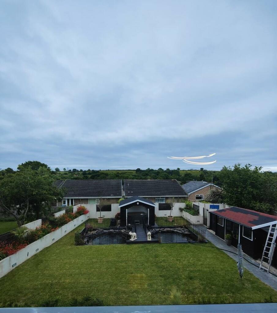 garden 5.jpg