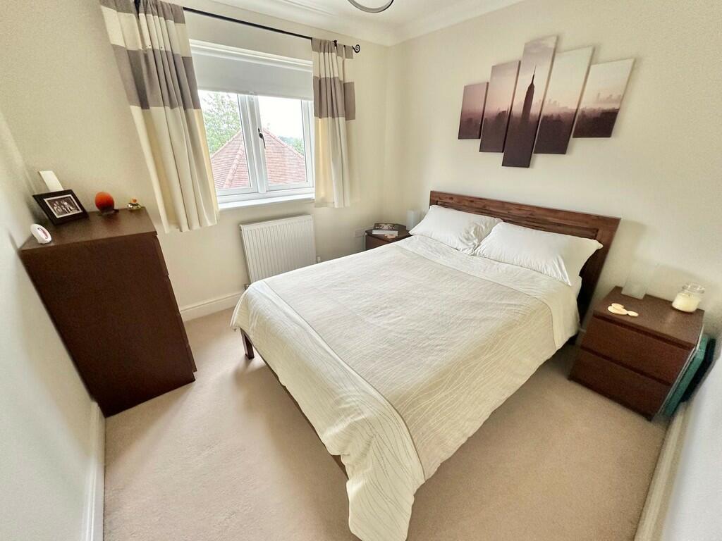 WhatsApp Image 20...