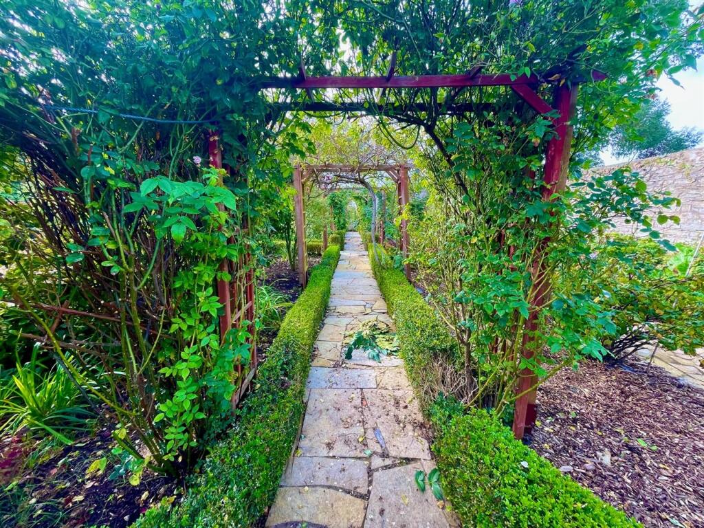 Garden 4.jpg