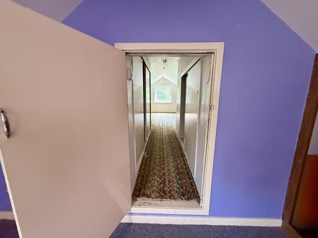 IMG 1400 T202506112225.jpeg