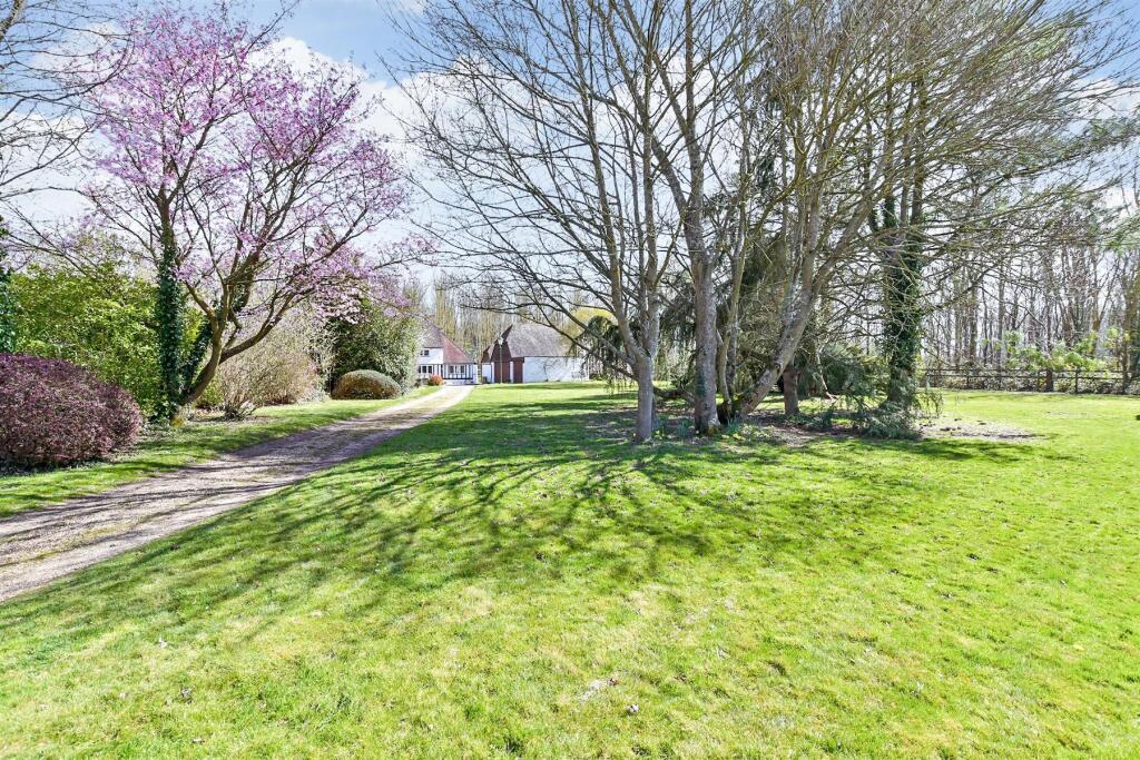 Driveway/Parking