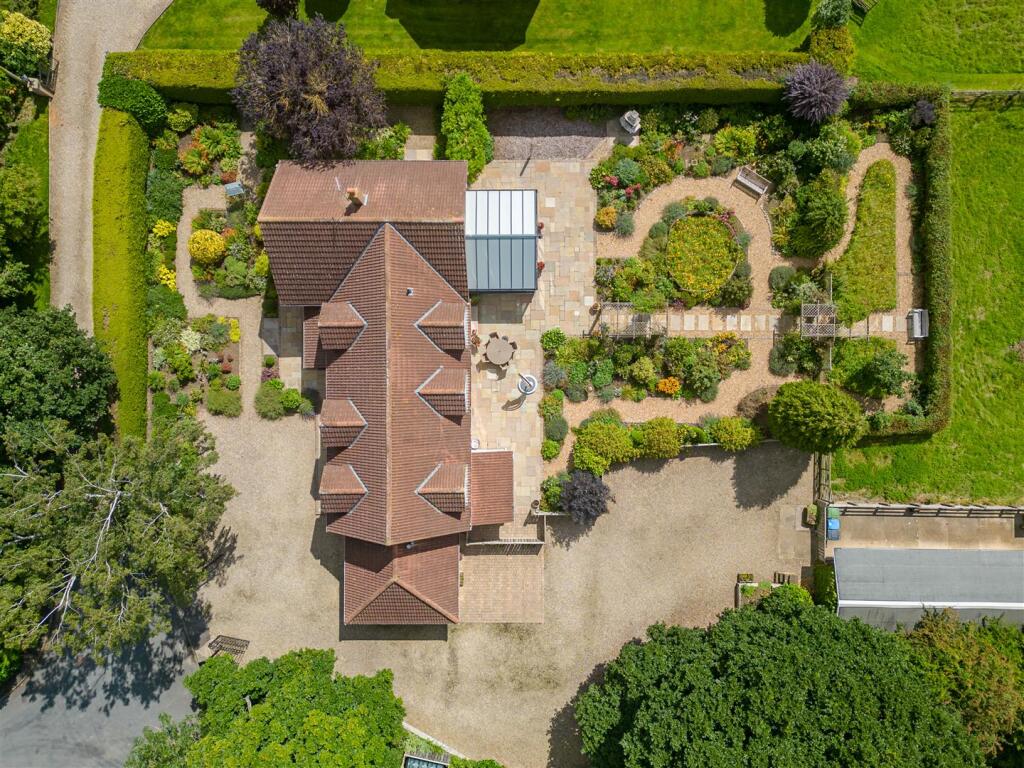 Aerial Overhead