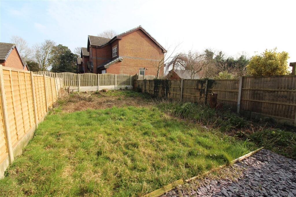 IMG 4776  Medium  T202503141450.jpg