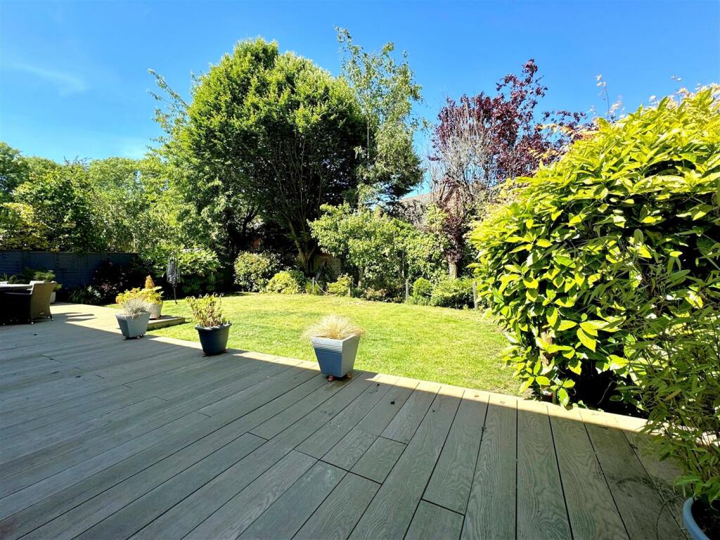 new garden.jpg