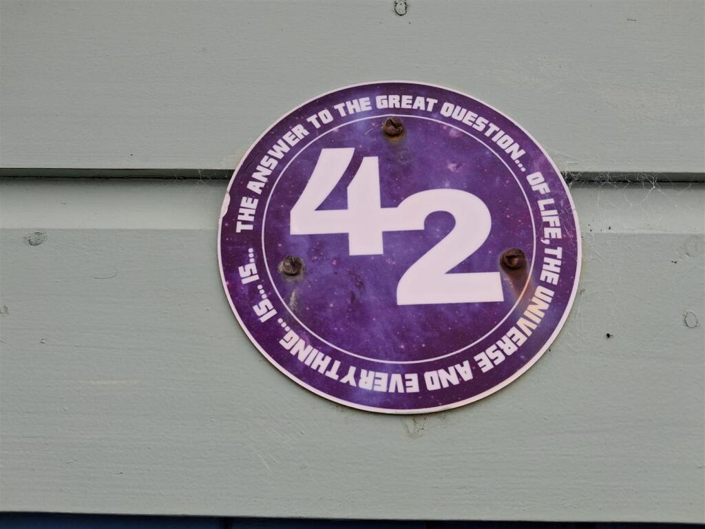 pic 3.jpg