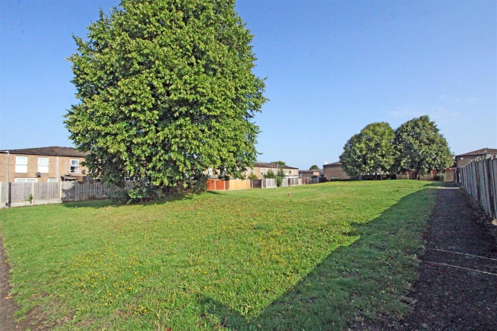 IMG_5936 green back fence.jpg