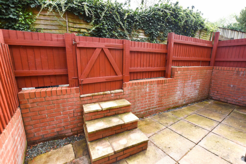 Rear Yard 1