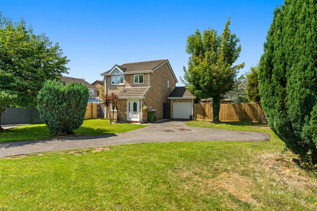 Meadowsweet, St Mellons, Hern Crabtree (1).jpg