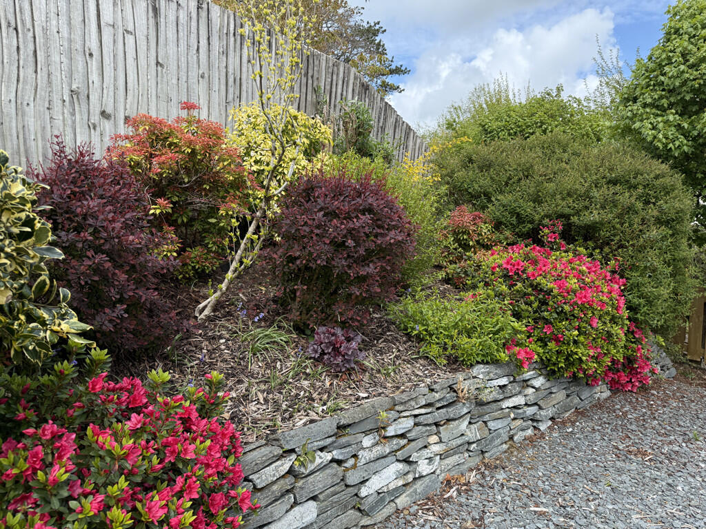 Colourful Flower Beds