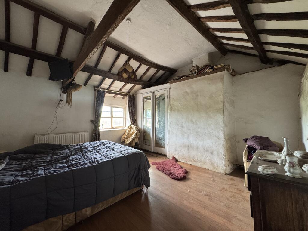 IMG 1786 T202509101640.jpeg