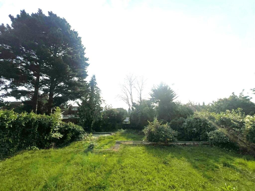 garden.jpg