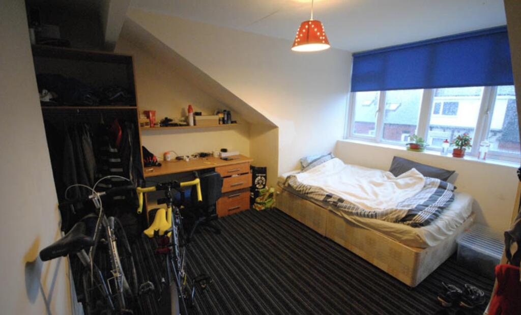 A cozy, well-lit bedroom featuring a single bed...