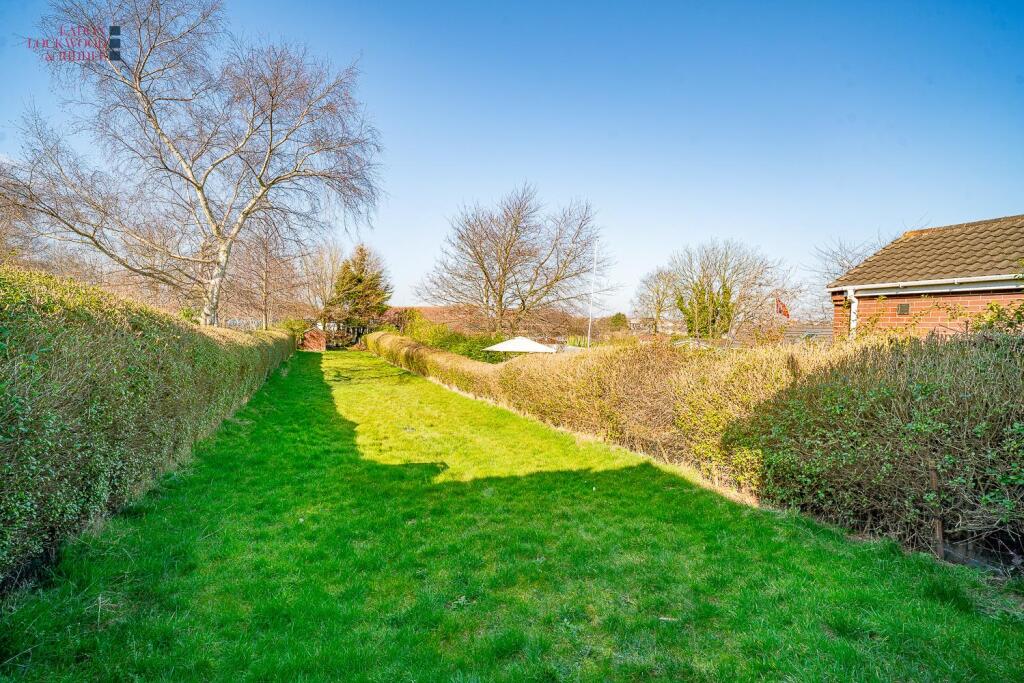 Back garden