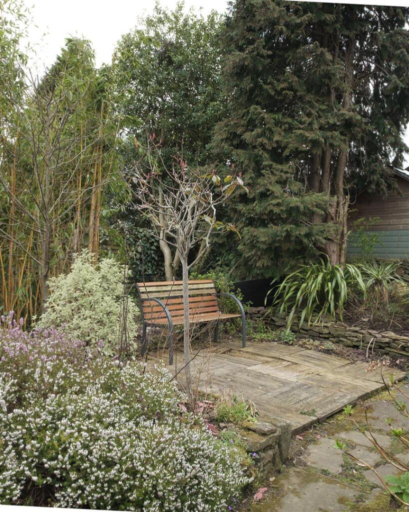 P untitled (9 of 26).jpg