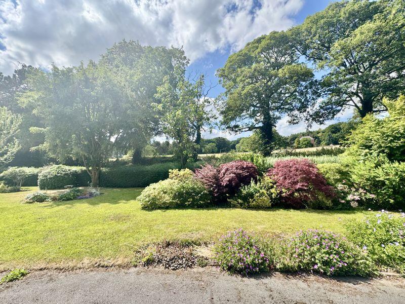 Front garden