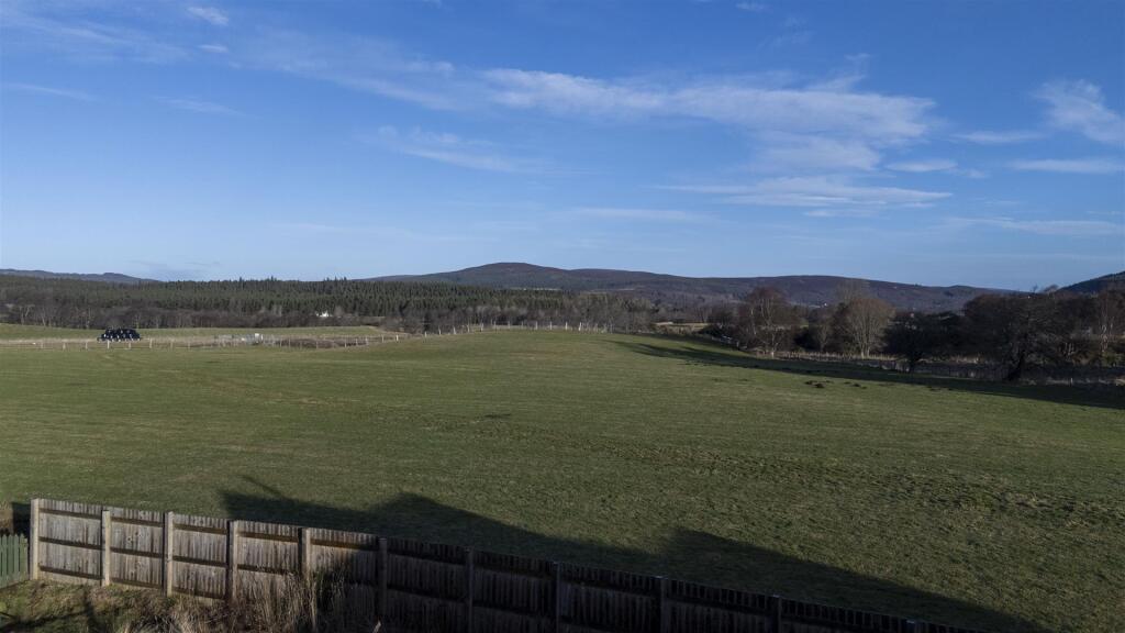 field view.jpg