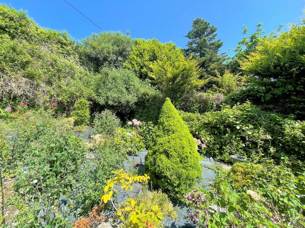 Garden .jpg