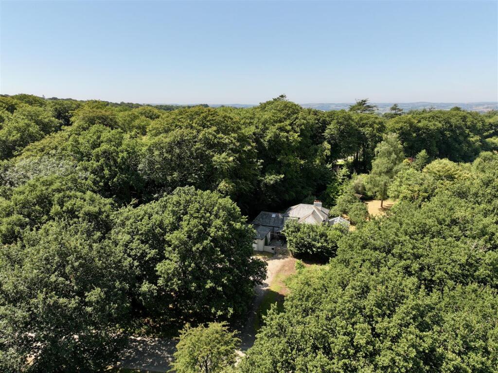 dji_fly_20250710_121832_0477_1752145966684_photo.j