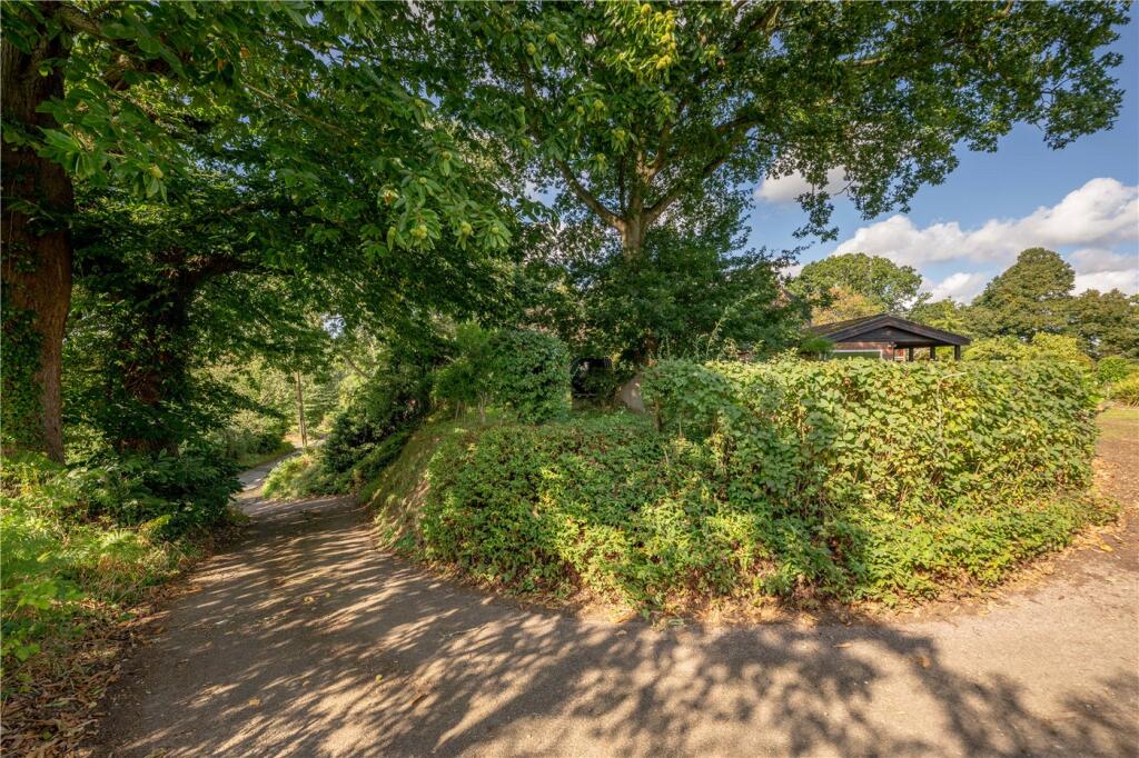 Driveway